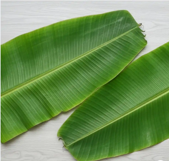 Banana Leaves
