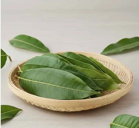 Mango Leaves